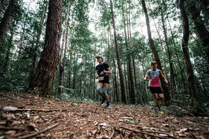 BIB: 
                            <button type="button" onclick="openModal(25261292)" class="btn btn-primary btn-sm float-right btn-popup" data-toggle="modal" data-target=".modal-high-quality">
                        <i class="fas fa-shopping-cart"></i> Add to Cart
                    </button>
                                            <button type="button" onclick="isThisMe(25261292, true)" class="btn btn-success btn-sm float-right btn-popup btn-isme hidden" data-toggle="tooltip" data-placement="bottom" title="นี่คือรูปของคุณใช่ไหม คลิกที่นี่เพื่อเอาเข้าอัลบั้ม">
                        <i class="fas fa-plus"></i> Add to album
                    </button>
                    <button type="button" onclick="isThisMe(25261292, false)" class="btn btn-warning btn-sm float-right btn-popup btn-isnotme hidden">
                        <i class="fas fa-ban"></i> Remove from album
                    </button>